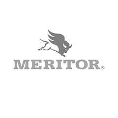 Sello de leva Meritor A1205V1556